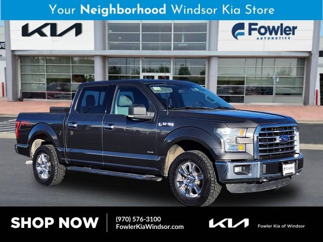 2015 Ford F-150 XLT 4WD photo