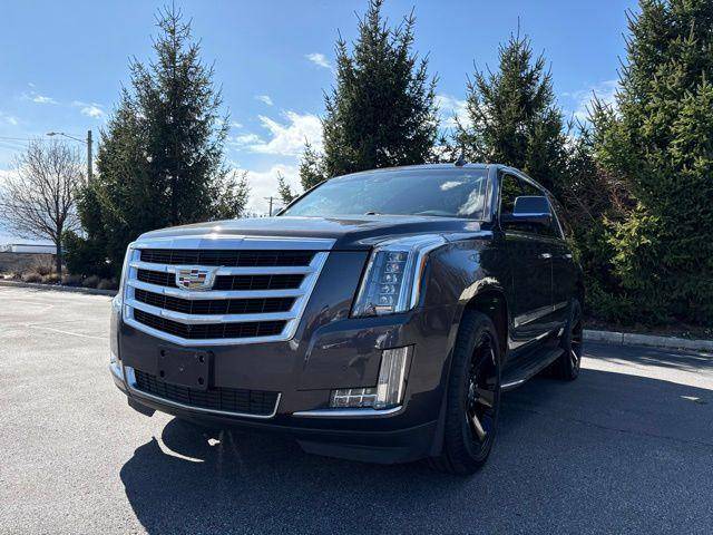 2016 Cadillac Escalade Luxury Collection 4WD photo