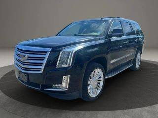 2016 Cadillac Escalade Platinum 4WD photo