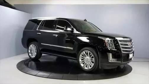 2016 Cadillac Escalade Platinum 4WD photo