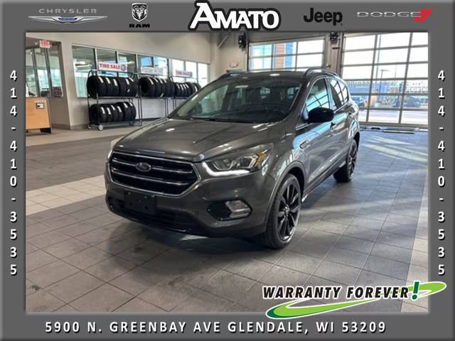 2017 Ford Escape SE 4WD photo