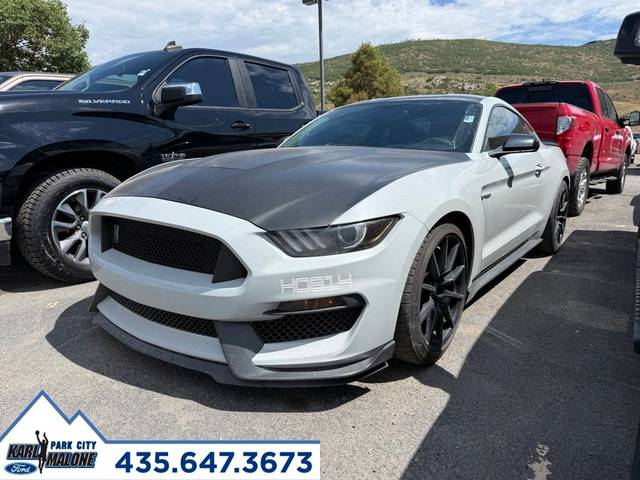 2017 Ford Mustang Shelby GT350 RWD photo