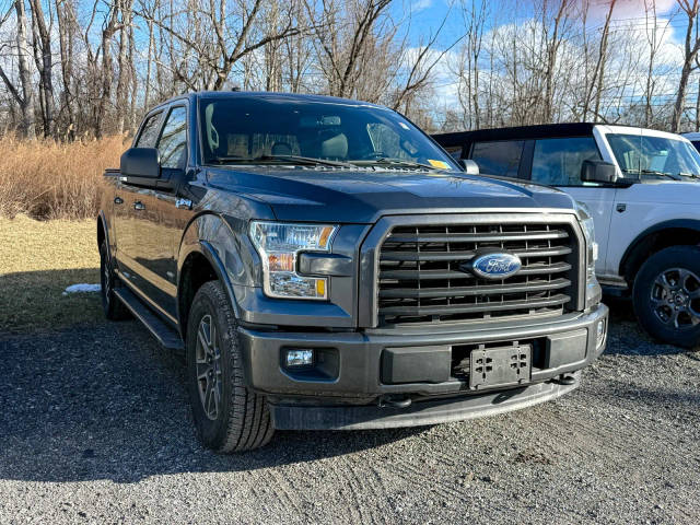 2017 Ford F-150 XLT 4WD photo
