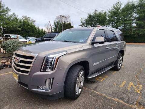 2017 Cadillac Escalade Luxury 4WD photo