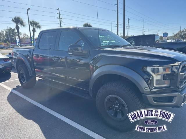 2017 Ford F-150 Raptor 4WD photo