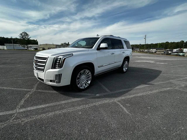 2017 Cadillac Escalade Platinum 4WD photo