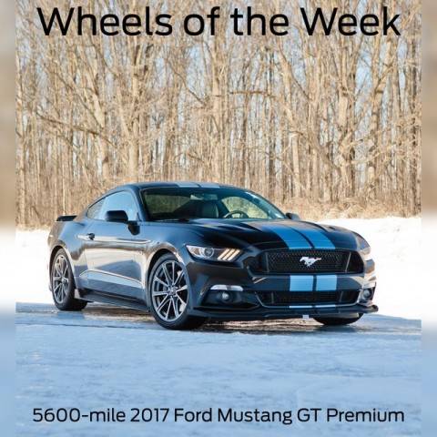 2017 Ford Mustang GT Premium RWD photo