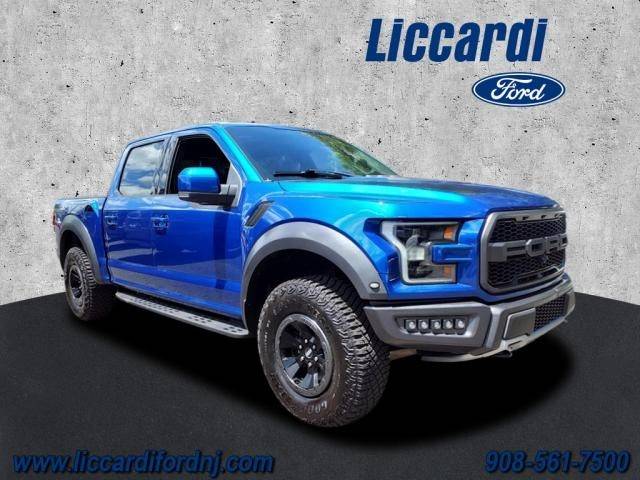 2017 Ford F-150 Raptor 4WD photo