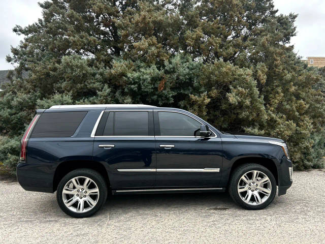 2017 Cadillac Escalade Premium Luxury RWD photo
