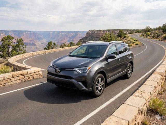 2017 Toyota RAV4 LE AWD photo
