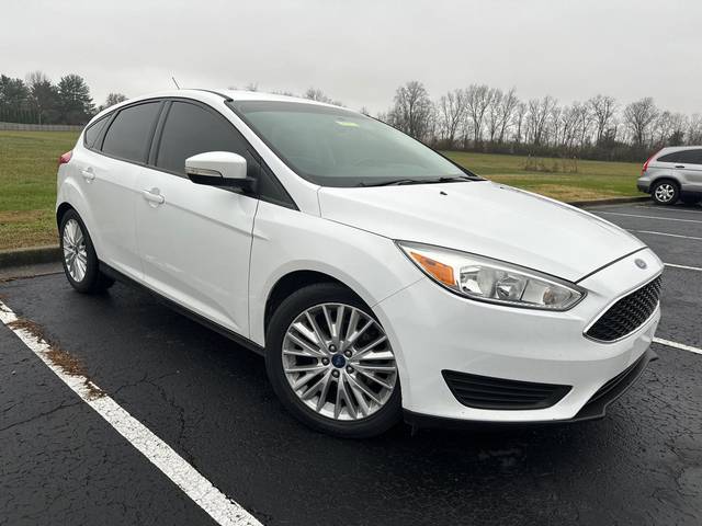 2015 Ford Focus SE FWD photo