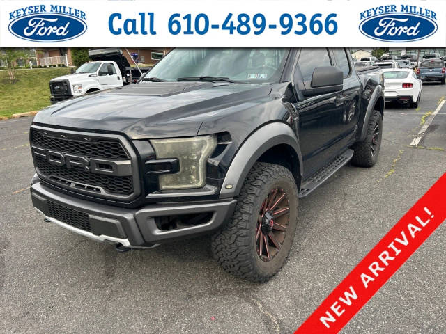 2017 Ford F-150 Raptor 4WD photo