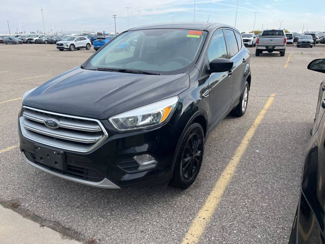 2017 Ford Escape SE 4WD photo