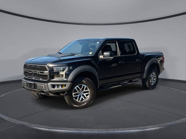 2017 Ford F-150 Raptor 4WD photo