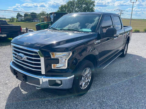 2017 Ford F-150 XLT 4WD photo