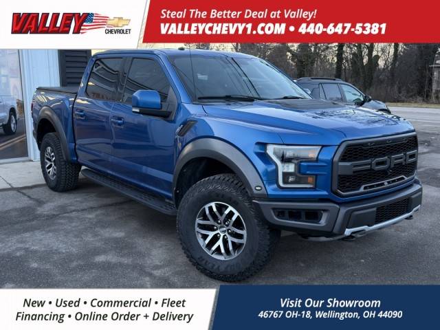 2017 Ford F-150 Raptor 4WD photo