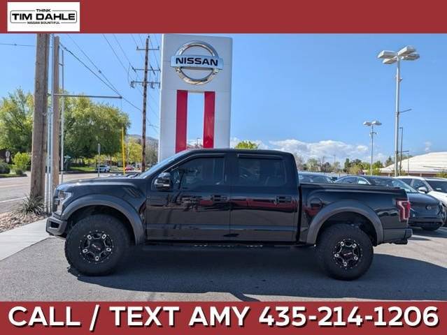 2017 Ford F-150 Raptor 4WD photo