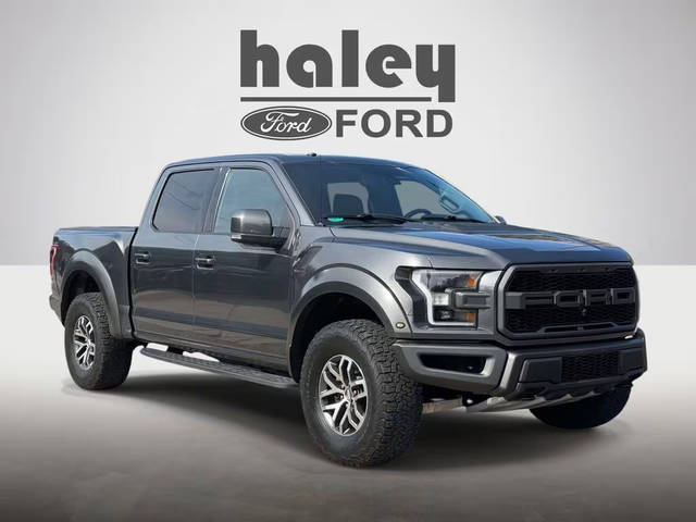 2017 Ford F-150 Raptor 4WD photo