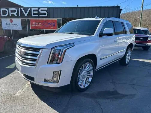 2017 Cadillac Escalade Platinum 4WD photo