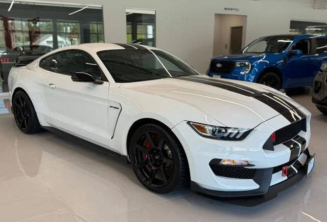 2017 Ford Mustang Shelby GT350R RWD photo