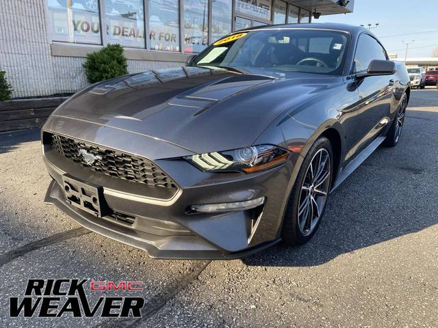 2018 Ford Mustang EcoBoost RWD photo
