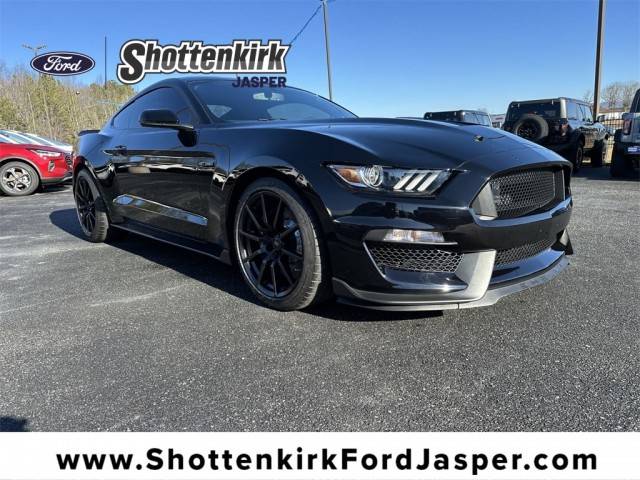 2017 Ford Mustang Shelby GT350 RWD photo