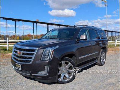 2018 Cadillac Escalade Luxury 4WD photo