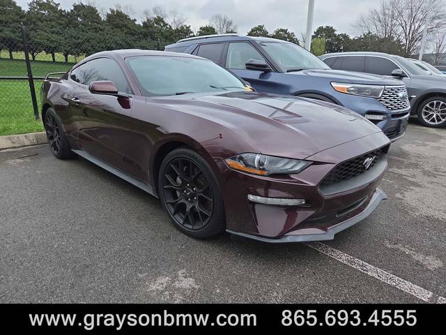 2018 Ford Mustang EcoBoost RWD photo
