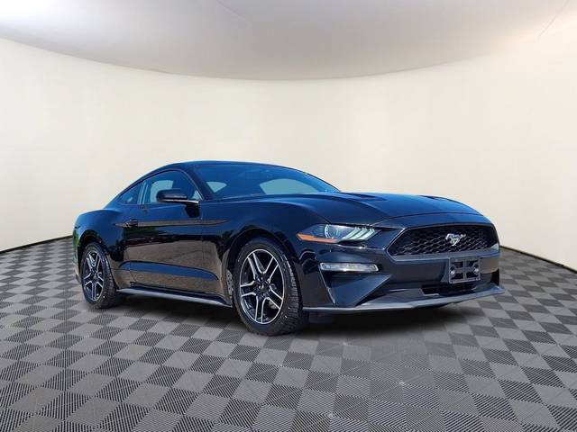 2018 Ford Mustang EcoBoost RWD photo