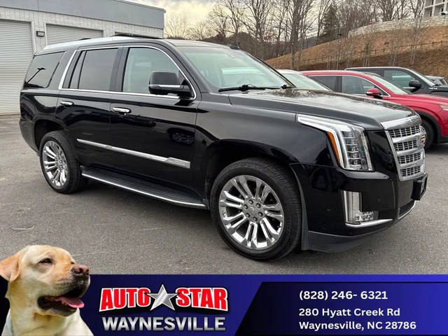 2018 Cadillac Escalade Luxury 4WD photo