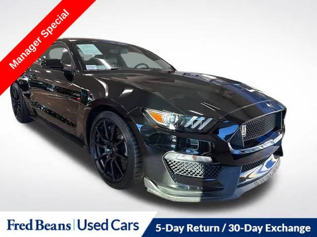 2018 Ford Mustang Shelby GT350 RWD photo