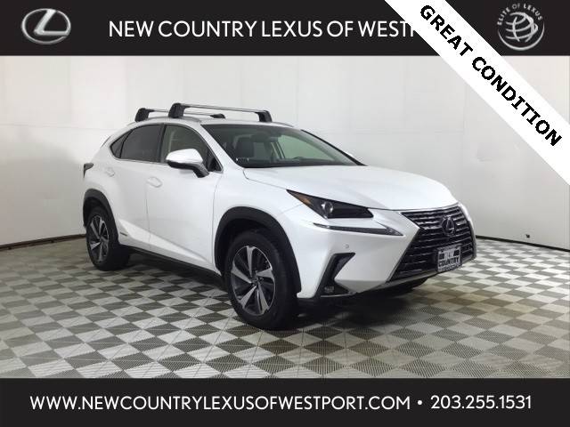 2018 Lexus NX NX 300h AWD photo