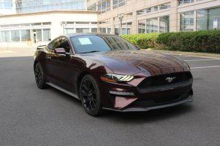 2018 Ford Mustang EcoBoost RWD photo