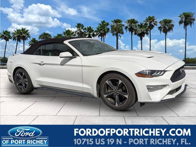2018 Ford Mustang EcoBoost RWD photo