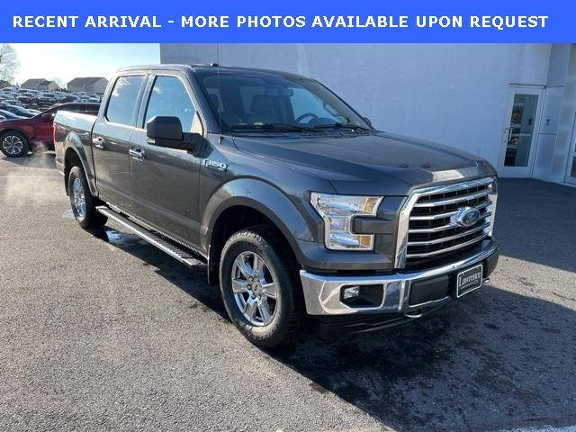 2015 Ford F-150 XLT 4WD photo