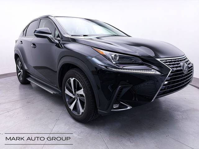 2018 Lexus NX NX 300 AWD photo
