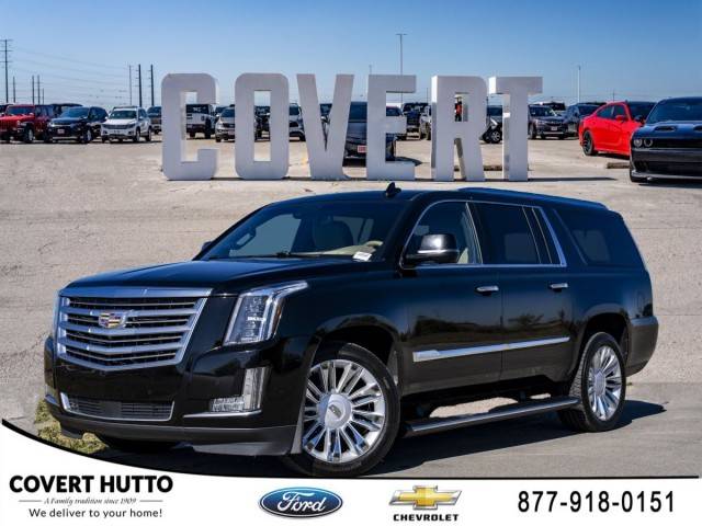 2018 Cadillac Escalade ESV Platinum 4WD photo