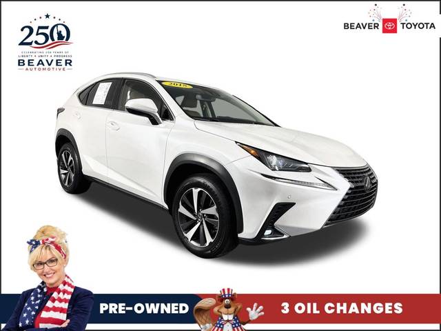 2018 Lexus NX NX 300 AWD photo
